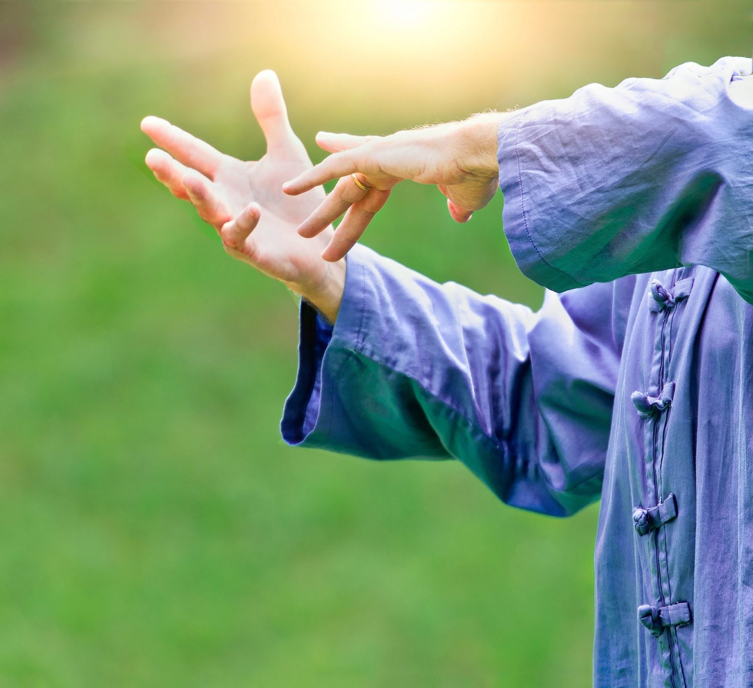 What is the Difference Between Tai Chi and Qigong? SportFusion