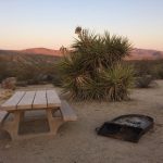 Best Time to Camp at Joshua Tree National Park