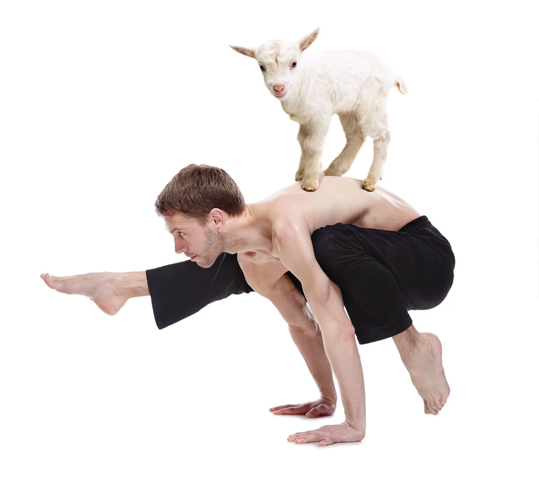 Finding Zen through Goat Yoga: A Unique and Playful Experience