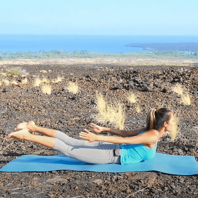 Locust Pose variations